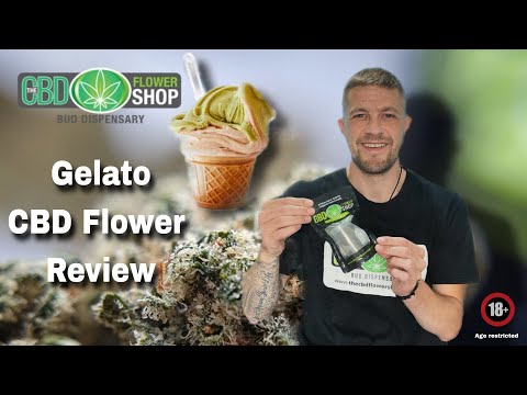 Man holding Gelato CBD flower product