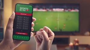 Exploring Kiwi Bet Your Ultimate Online Betting Experience Exploring Kiwi Bet Your Ultimate Online Betting Experience