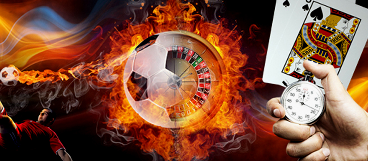 Best live betting platforms for beginners and experts