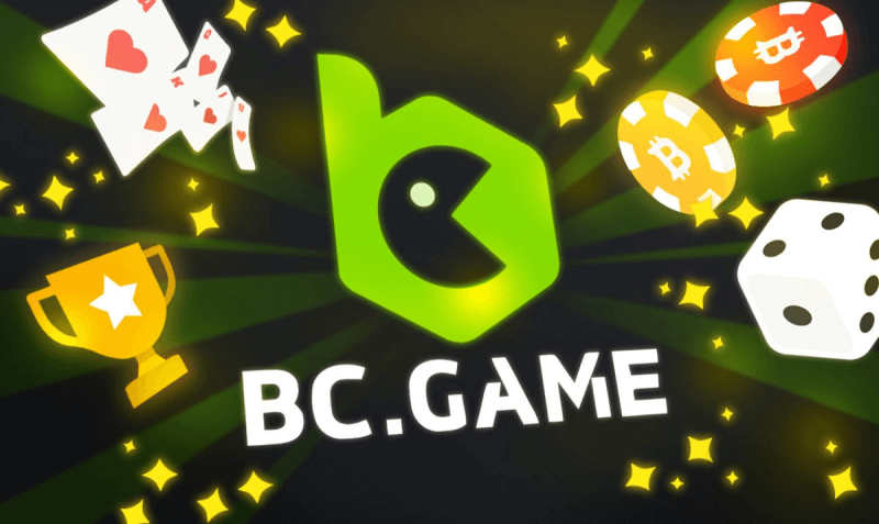 Discover the Excitement of Stake's Sportsbook
