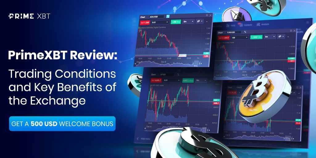 Comprehensive Guide to PrimeXBT Forex Analysis Tools