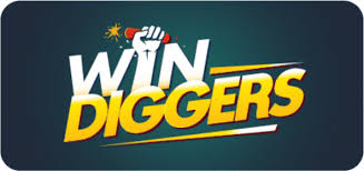Online Casino Site Experience at Success Diggers Gambling Establishment