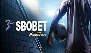 Daftar Agen Sbobet Panduan Lengkap untuk Para Taruhan